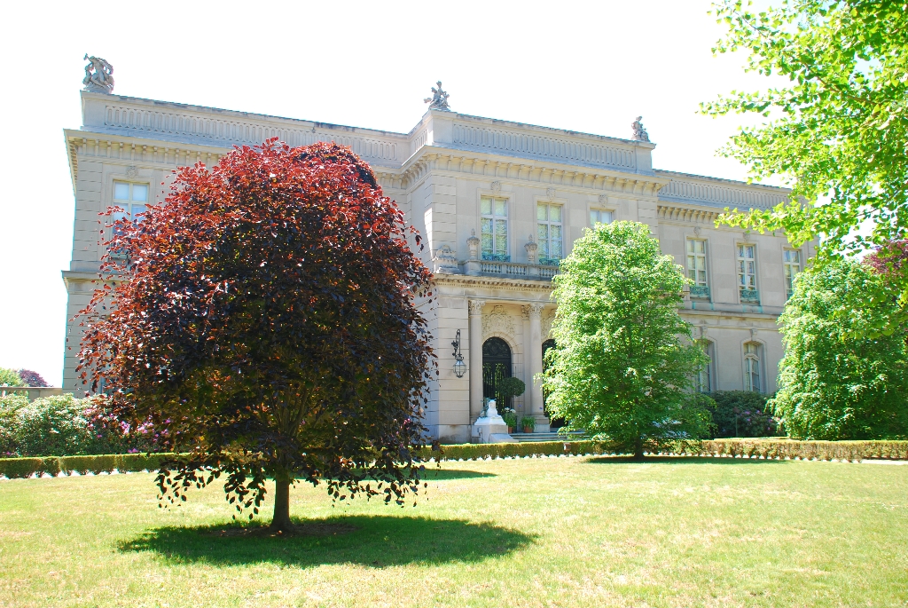 DSC_9892.JPG